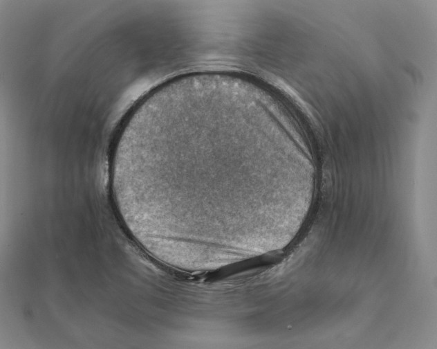 X0000111351461200908071123