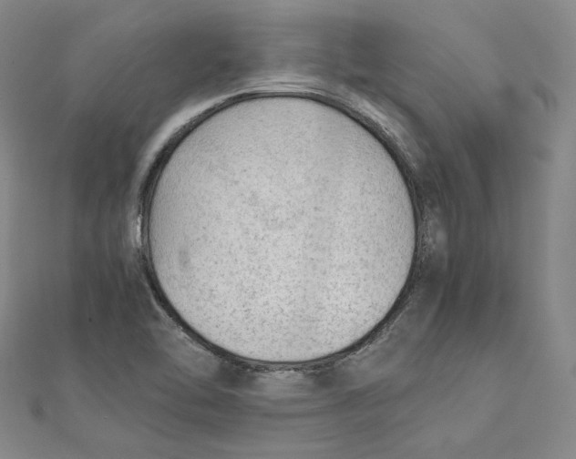 X0000111351462200908071123