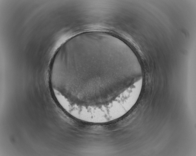 X0000111351463200908071123