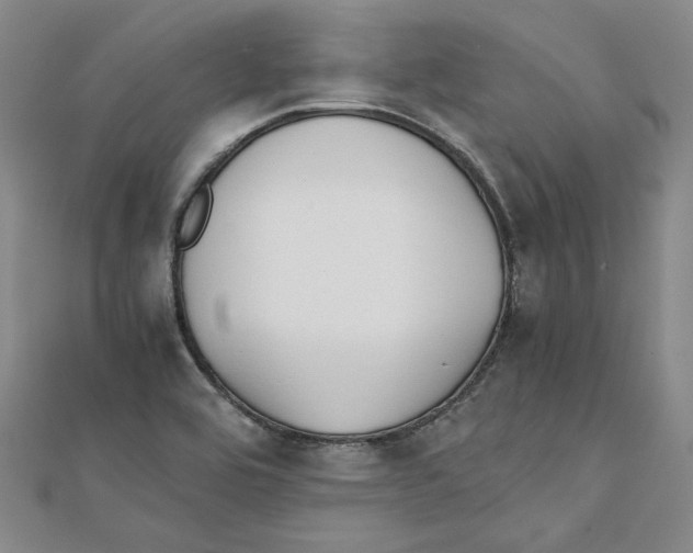 X0000111351464200908071123