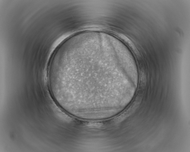 X0000111351466200908071123