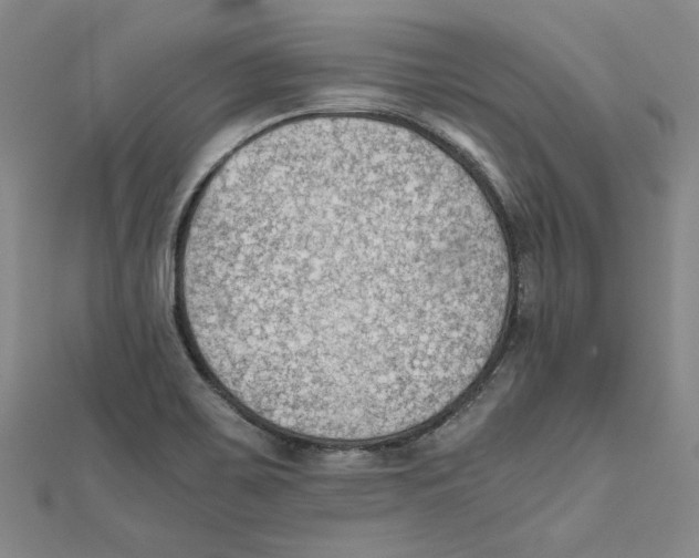 X0000111351467200908071123