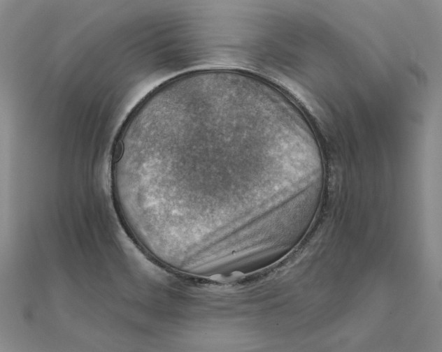 X0000111351468200908071123