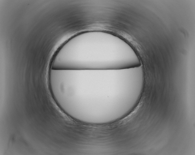 X0000111351469200908071123