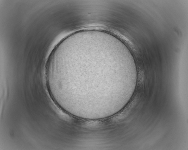 X0000111351470200908071123