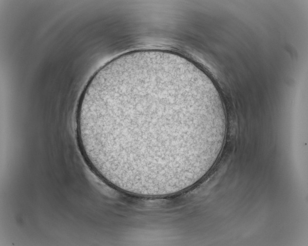 X0000111351471200908071123