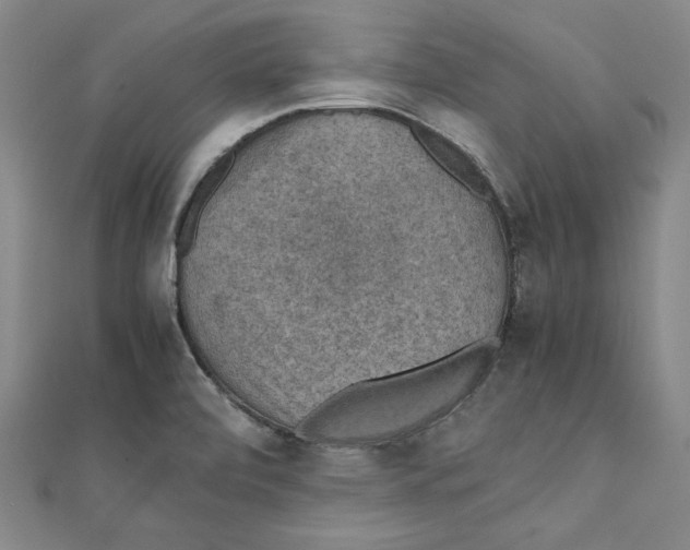 X0000111351472200908071123