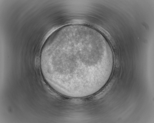 X0000111351473200908071123