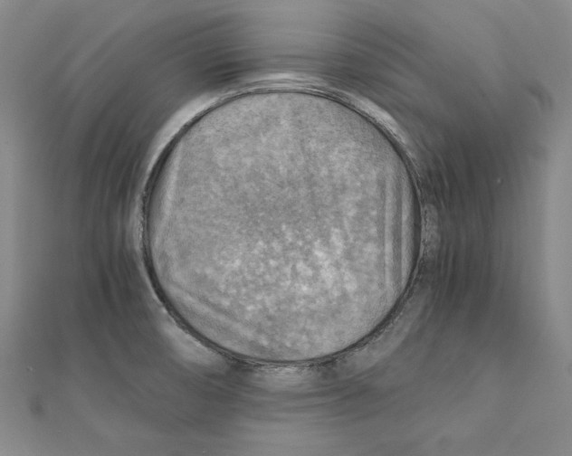 X0000111351474200908071123