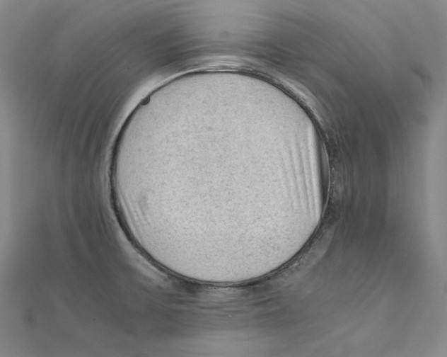 X0000111351475200908071123