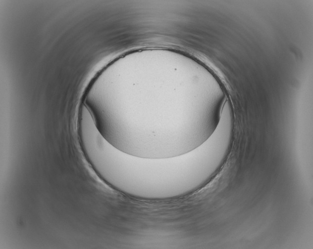 X0000111351477200908071123