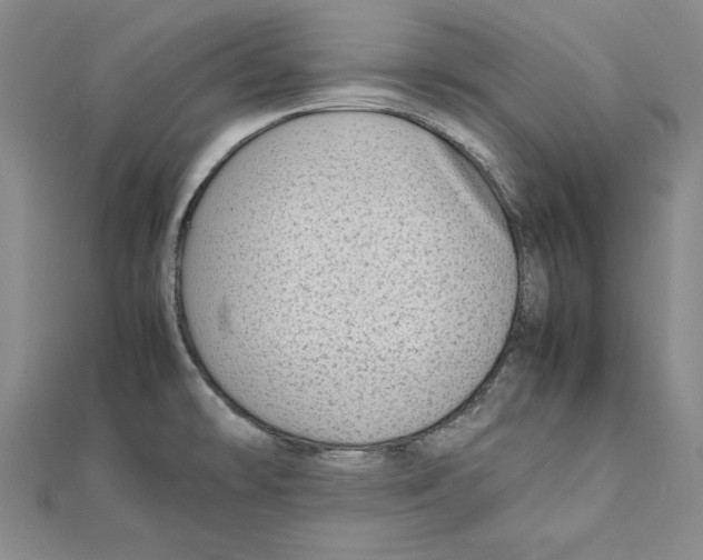 X0000111351478200908071123