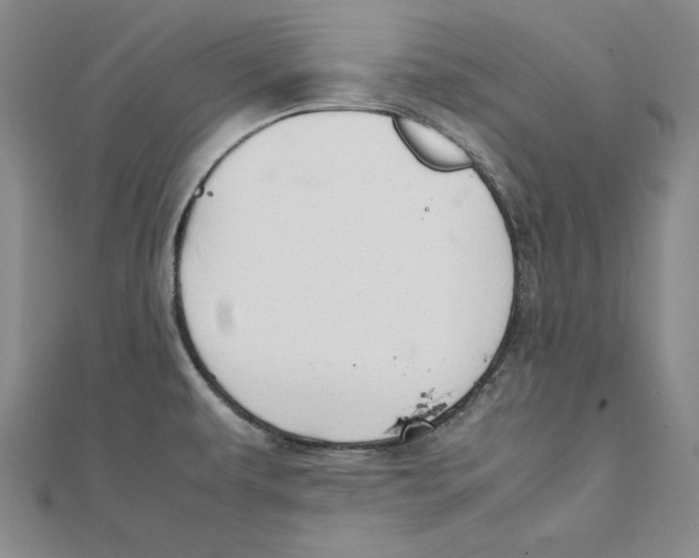 X0000111351479200908071123