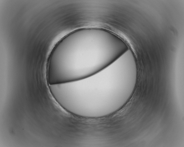 X0000111351480200908071123