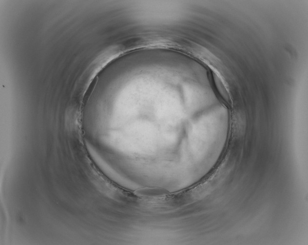 X0000111351481200908071123