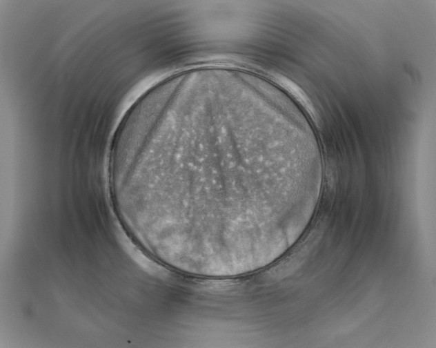 X0000111351482200908071123