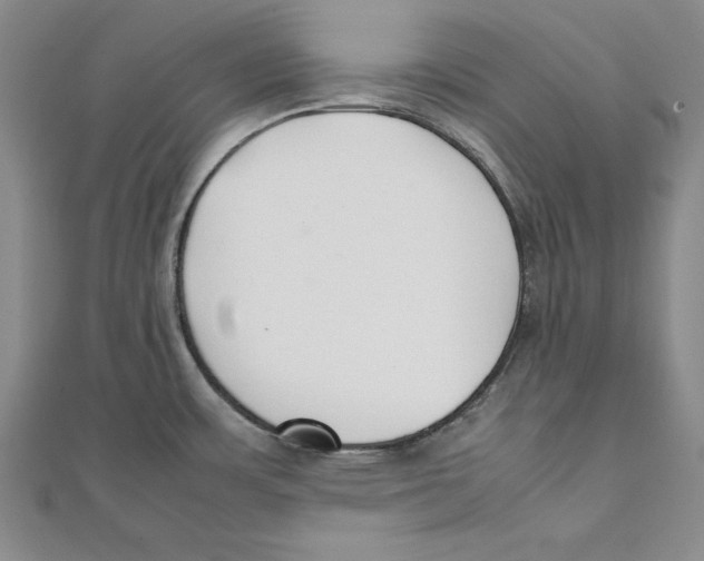 X0000111351483200908071123