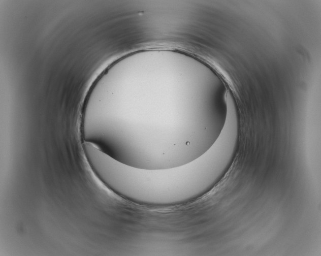 X0000111351484200908071123