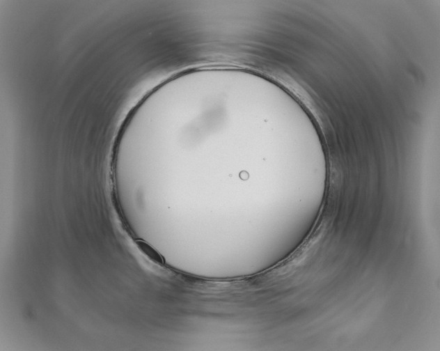 X0000111351485200908071123