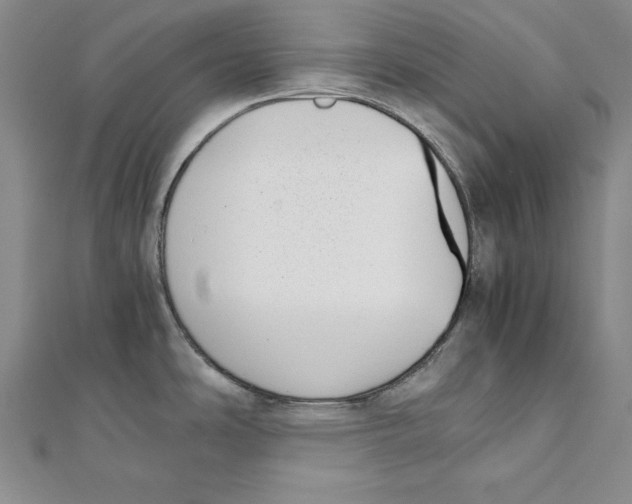 X0000111351486200908071123