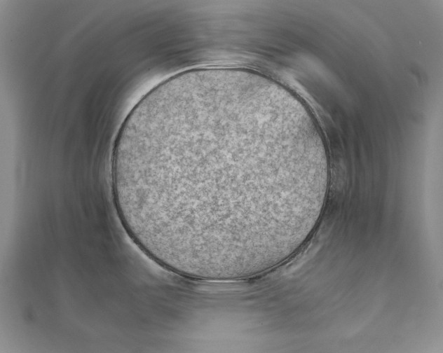 X0000111351487200908071123