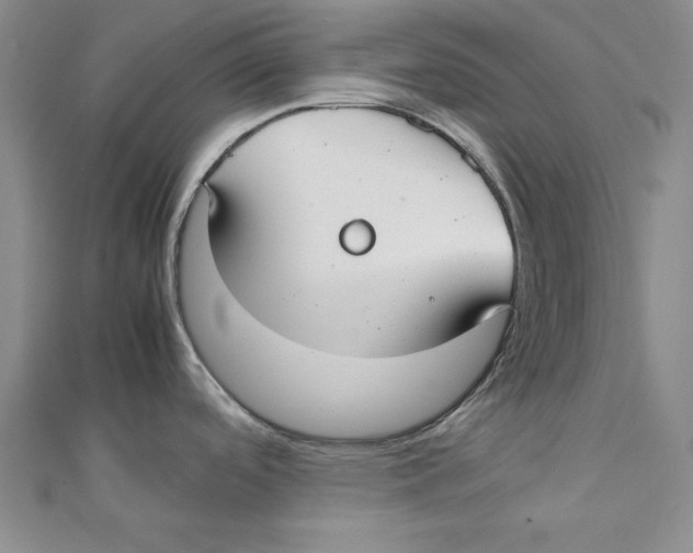 X0000111351488200908071123