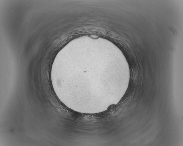 X0000111351489200908071122