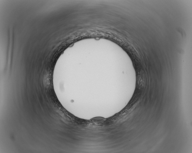 X0000111351490200908071122