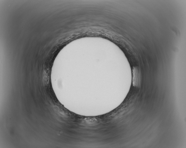 X0000111351491200908071122