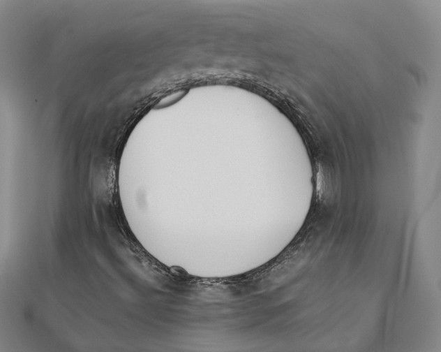 X0000111351492200908071122