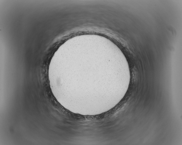 X0000111351494200908071122