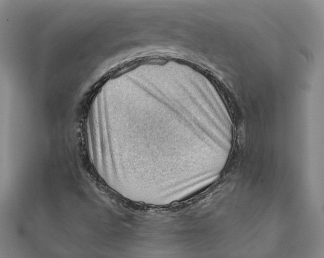 X0000111351496200908071122