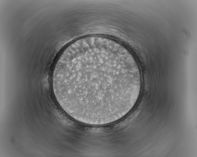 X0000111351497200908071122