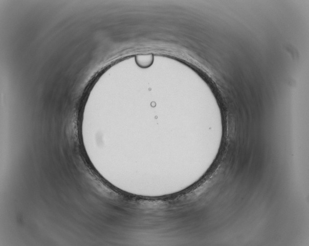 X0000111351498200908071122