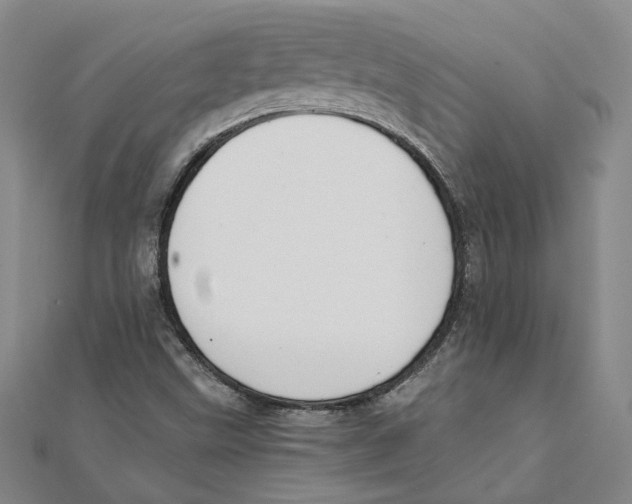 X0000111351499200908071122