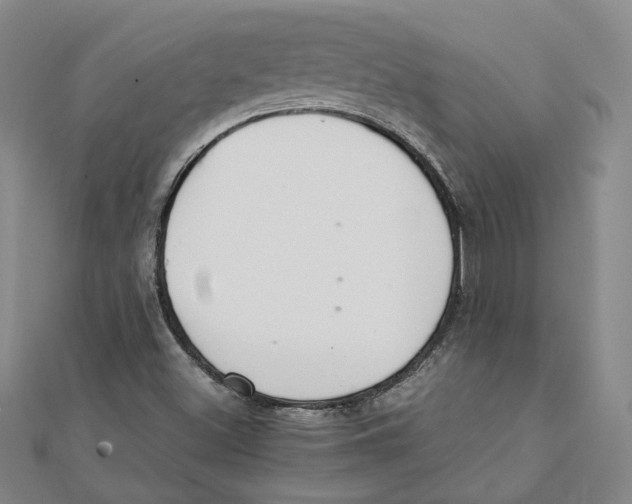 X0000111351500200908071122