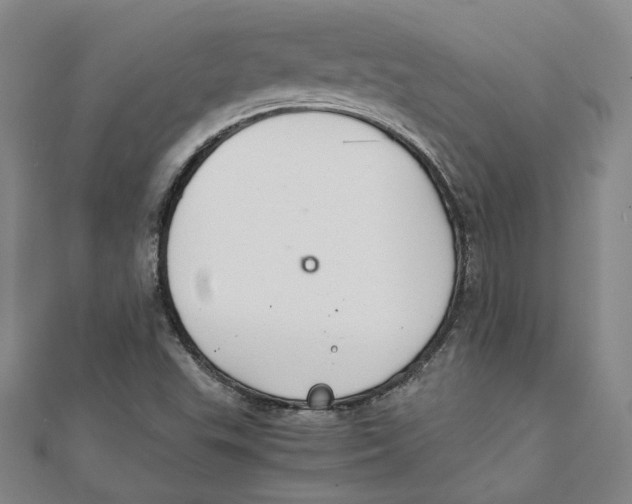 X0000111351503200908071122