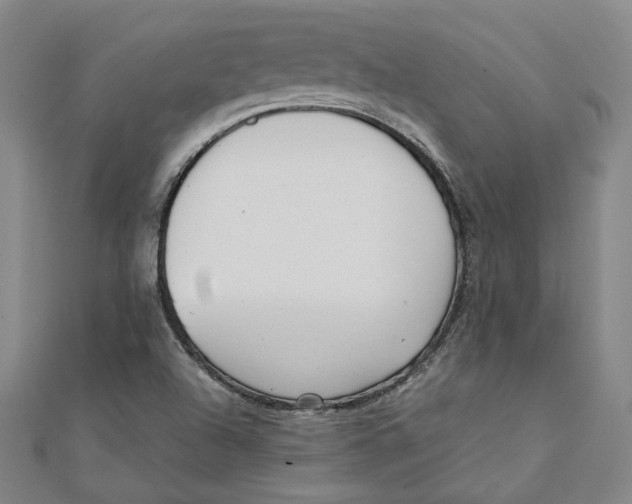 X0000111351504200908071122