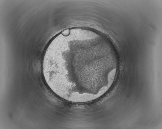 X0000111351505200908071122