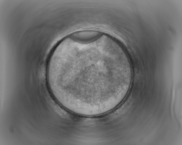 X0000111351506200908071122