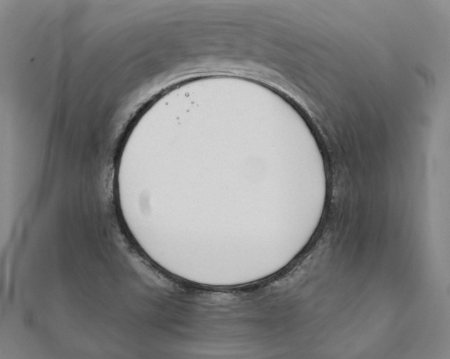 X0000111351507200908071122