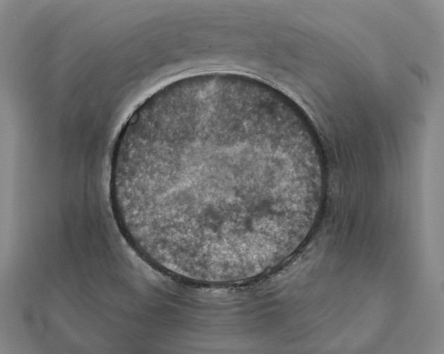 X0000111351508200908071122