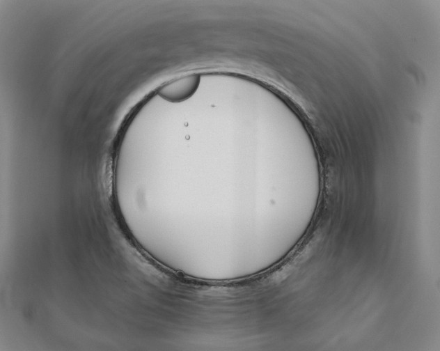 X0000111351510200908071122