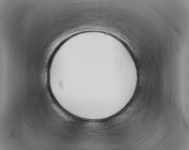 X0000111351511200908071122