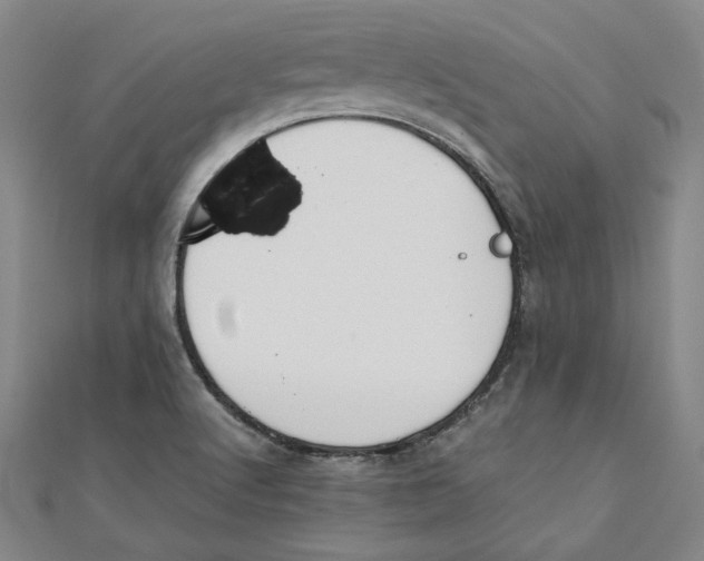 X0000111351512200908071122