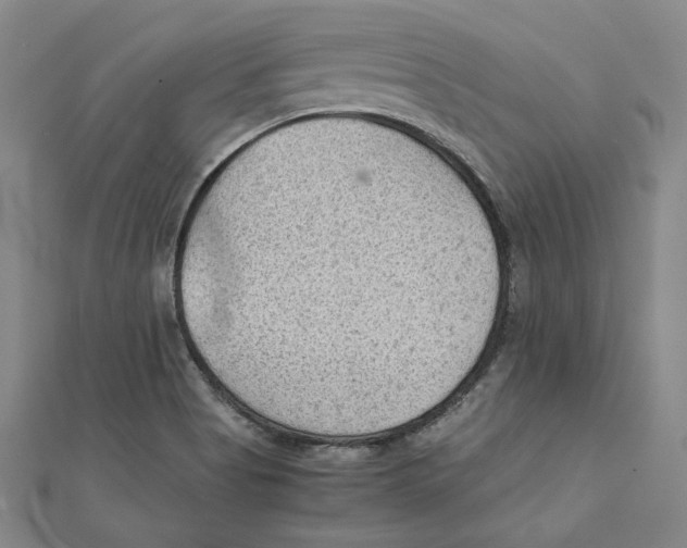 X0000111351513200908071122