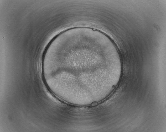 X0000111351515200908071122