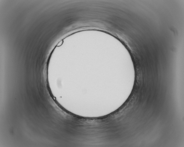 X0000111351516200908071122