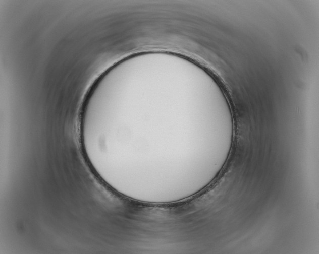 X0000111351517200908071122