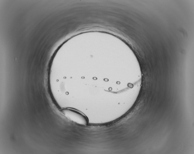 X0000111351518200908071122